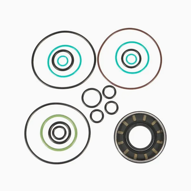 Hydraulic Pump Repair Kit